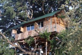 Yala Dream Park